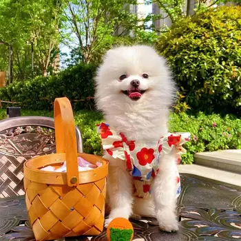 Pet Vestido Floral de la Impresión de Vuelo de la Manga de la Colmena de Borde de Verano para Perros Pequeños Princesa Traje de Cosplay para la Primavera